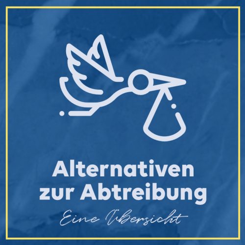 Abtreibung Mit 16 Ohne Wissen Der Eltern Alternativen zur Abtreibung – Eine Übersicht – KALEB e.V.